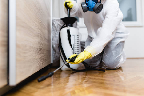 Flea Control Services in Fortville, IN