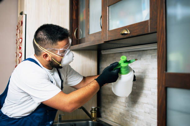 Best Exterminator Services  in Fortville, IN