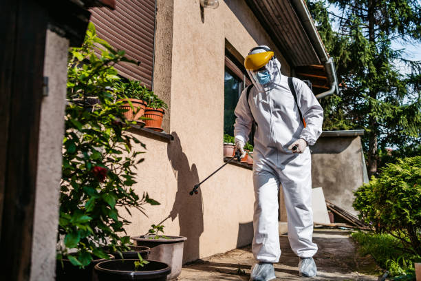 Best Residential Pest Control  in Fortville, IN