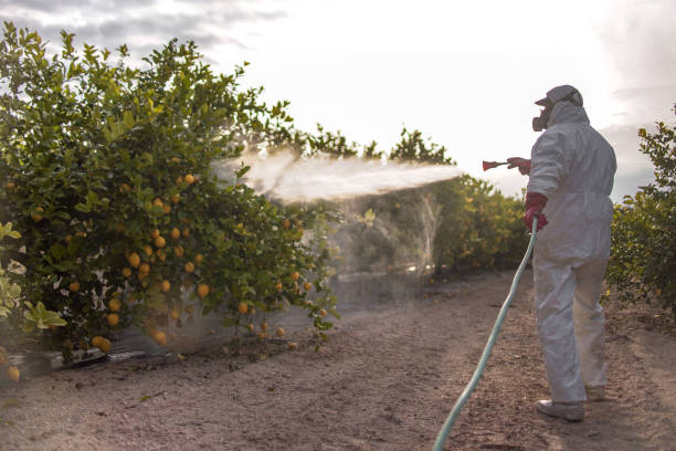 Best Commercial Pest Control Services  in Fortville, IN