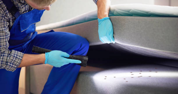 Best Best Pest Control Companies  in Fortville, IN