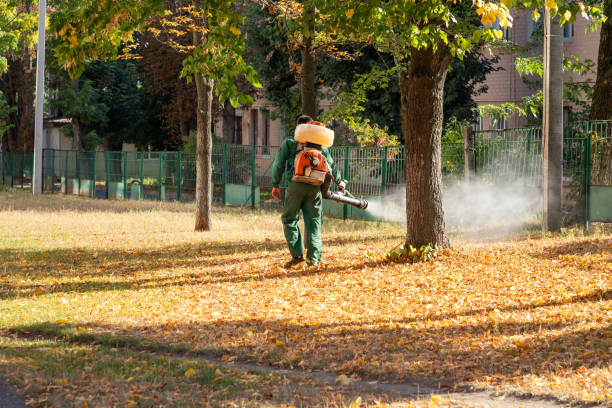 Best Pest Prevention Services  in Fortville, IN