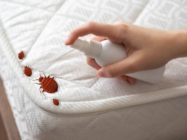 Best Affordable Pest Control Services  in Fortville, IN
