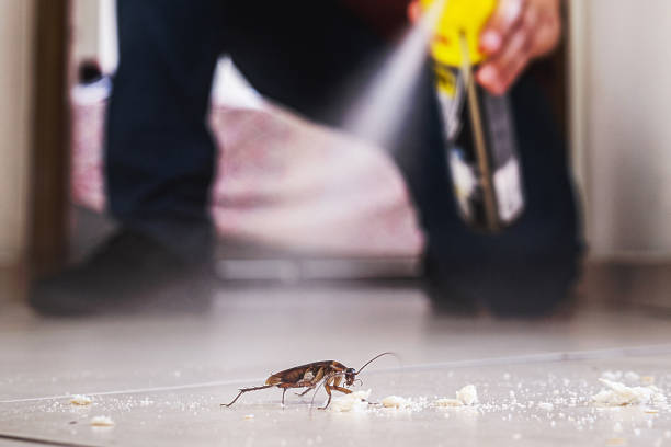 Best Ant Control Services  in Fortville, IN